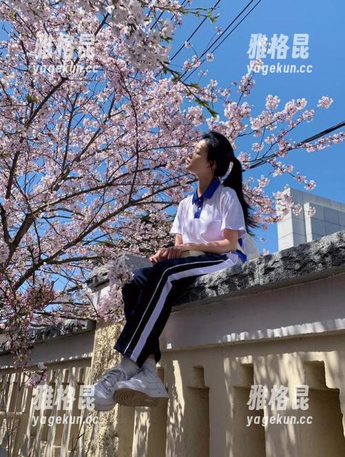 51cg 51cg4官网吃瓜专区,热点新闻抢先爆料