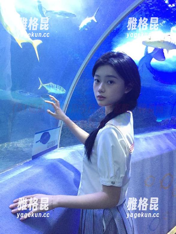 51吃瓜今日吃瓜必吃，网页版带来全新吃瓜体验