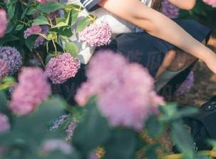 如何下载51吃瓜网网址，轻松获取最火热的吃瓜内容？