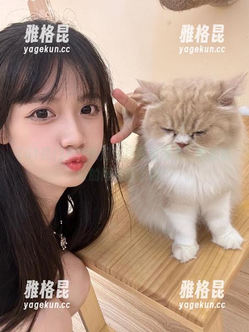 51热门 51热门今日吃瓜网页,吃瓜群众的网络新乐园!