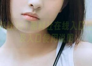 51黑料社在线入口注册流程及入口使用说明