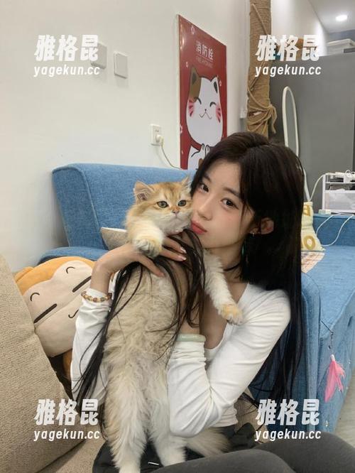 51黑料网 51黑料网官网最新地址曝光,吃瓜神器实力推荐