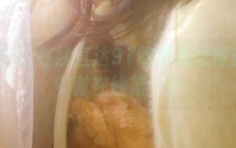 在线直达91吃瓜视频精彩内容实时在线第一手