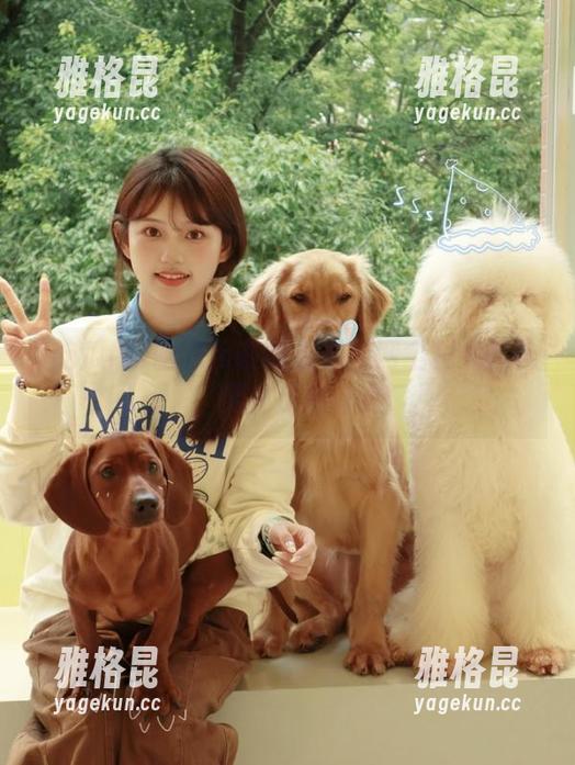 吃瓜网 吃瓜网在线观看官网全程无广告,男生追剧首选