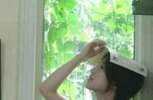 黑料不打烊吃瓜爆料，轻松获取免费资源乐不停