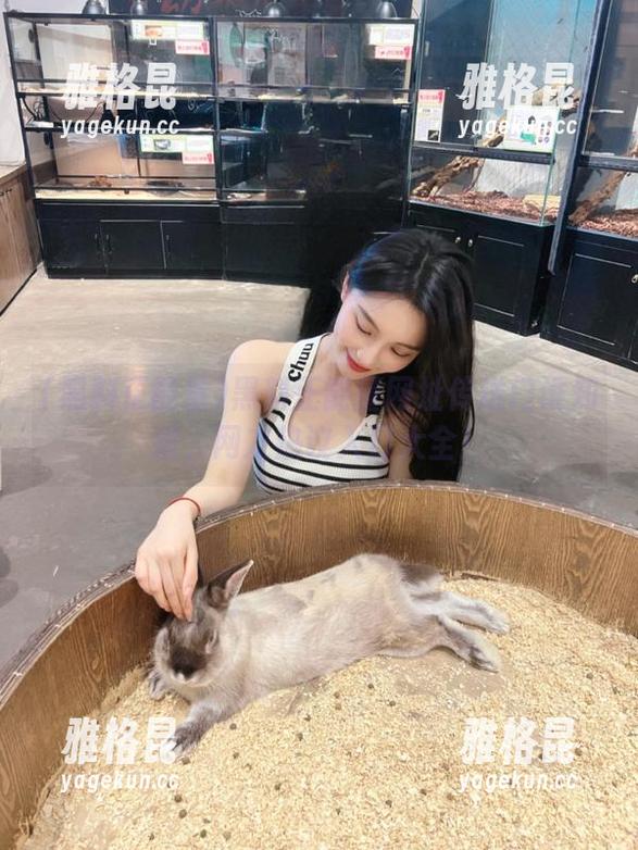黑料正能量 黑料正能量网址传送门谁知道,网友热议入口大全!