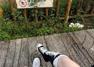 想免费登录黑料网在线？这些吐槽内容你绝对不能错过！